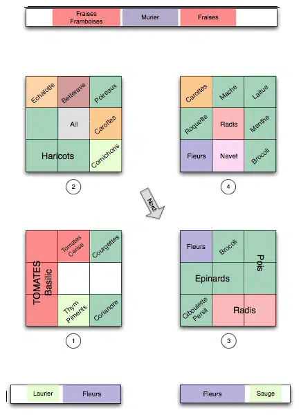 Planification des cultures du potager en carrés