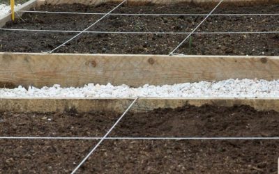 planification des cultures au-potager