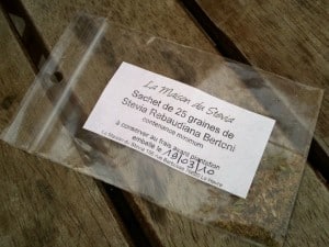 Graines de Stevia Graines de Stevia