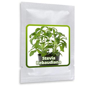 Sachet de 100 graines de Stevia