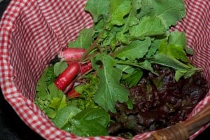 Panier de salade Panier de salade