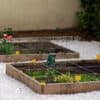 Le potager au mois d'avril