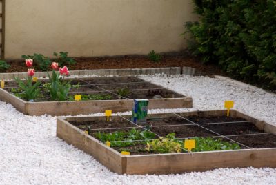 Le potager au mois d'avril