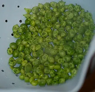 Cuisson des petits-pois