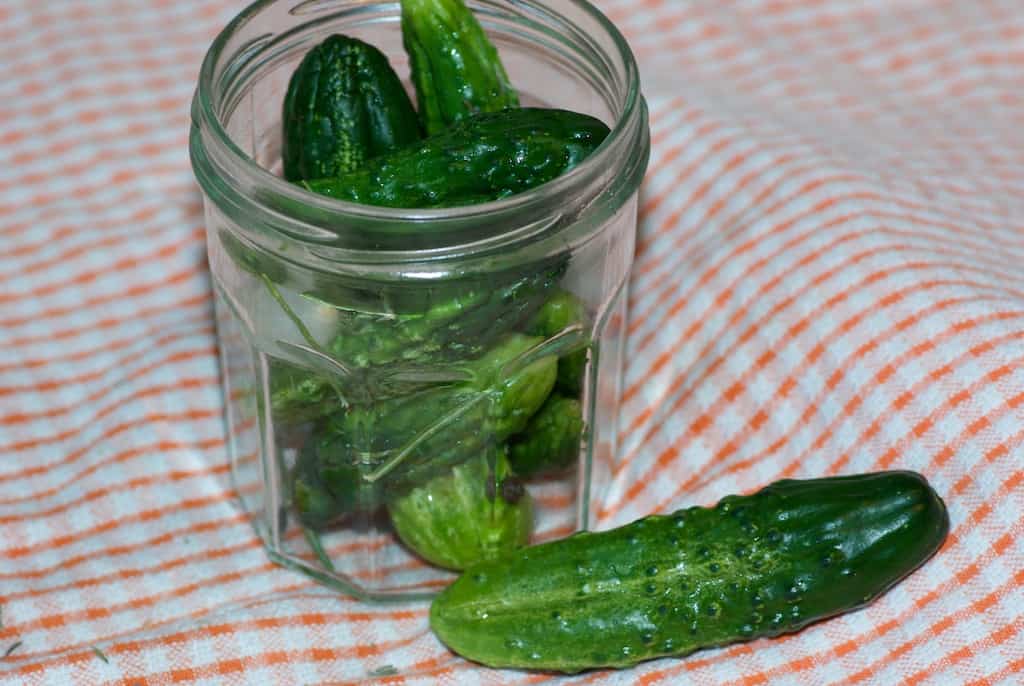 Eingelegte Cornichons - Rezepte Suchen