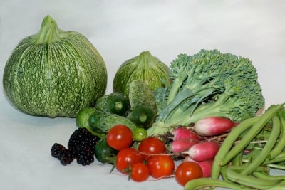 Courgettes, haricots, radis, tomate : les incontournables Courgettes, haricots, radis, tomate : les incontournables