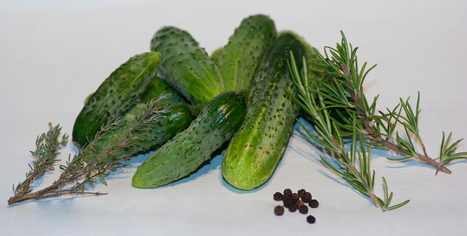 Recette cornichons maison. Du potager au bocal !