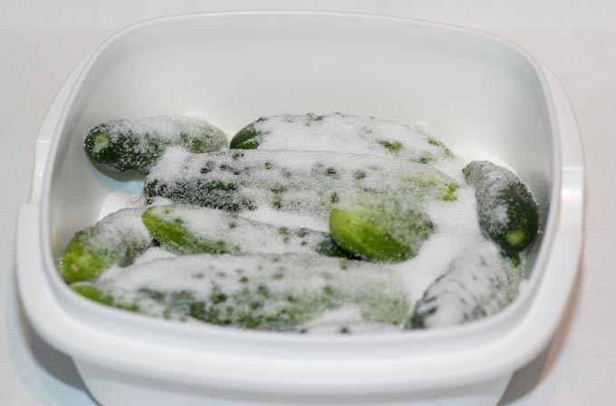 Cornichons dégorgeant dans du sel
