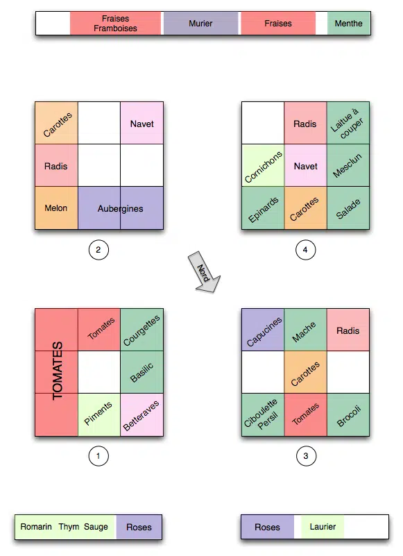 Plan du potager