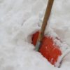 Grosses chutes de neige au jardin