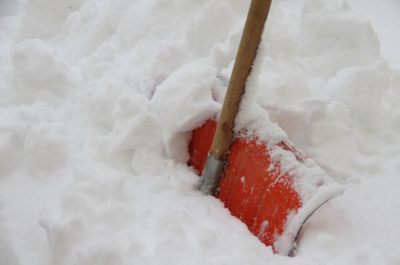 Grosses chutes de neige au jardin