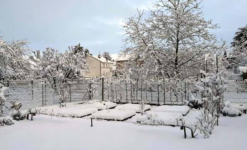 Mon potager sous la neige