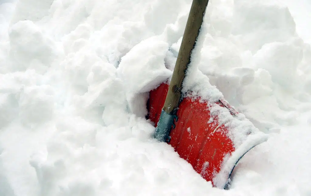 Chute de neige dans le jardin