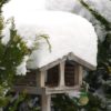 Mangeoire pour oiseaux
