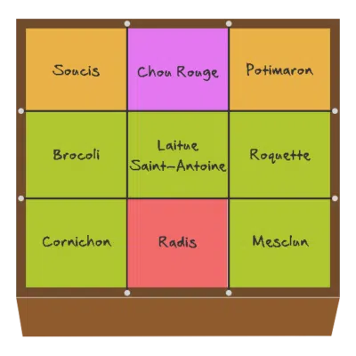 Planification des cultures pour mai et juin dans le quatrième potager en carré