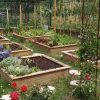 planification potager carré