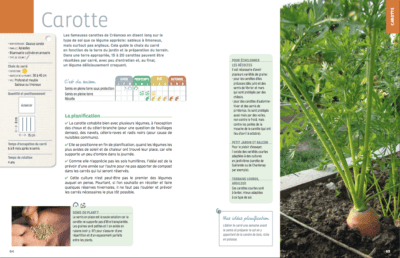 Une partie de la fiche de culture de la carotte Une partie de la fiche de culture de la carotte