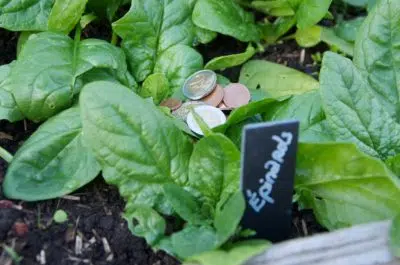 Le potager est-il économique ?