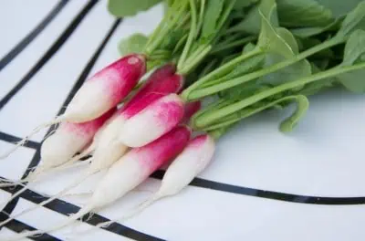 Quel est le prix de légumes fraichement récoltés du potager à l'assiette