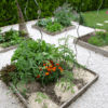 Le choix du potager
