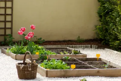 Potager en carrés