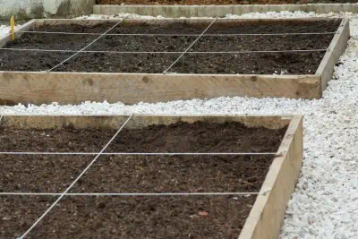 Carrés de potager