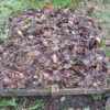 Carré de potager protégé par des feuilles