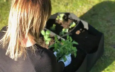 Potager facile sans bricolage