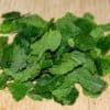 Récolte de feuilles de menthe