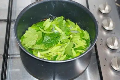 Cuisson du sirop de menthe