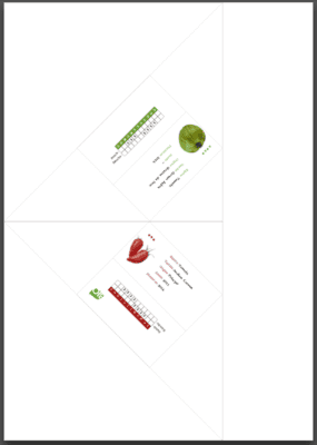 Exemple de gabarit généré par l'application