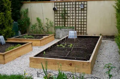 Potager en carrés rectangulaire