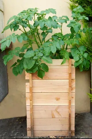 La structure de la tour à patates est complète