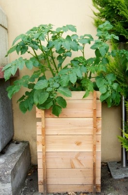La structure de la tour à patates est complète