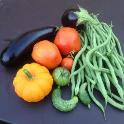 Haricots Tomates et Aubergines