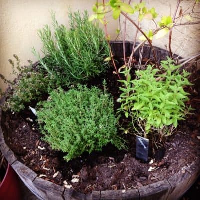 tonneau Aromatiques