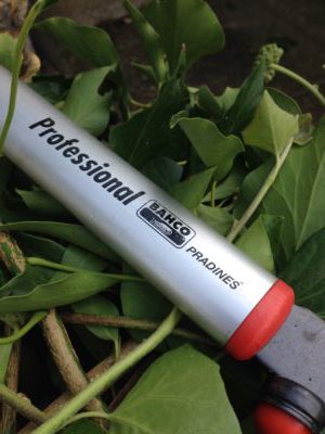 Ebrancheur professionnel