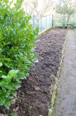 Nettoyage d'une partie du jardin