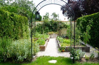 Mon ancien potager en carrés