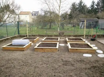 potager en carrés