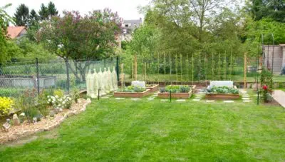 jardin avec potager en carrés