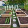 Potager en carrés
