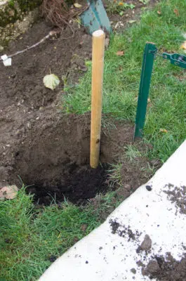 Trou de plantation pour un pommier