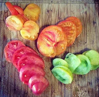 Tomates du potager de toutes les couleurs