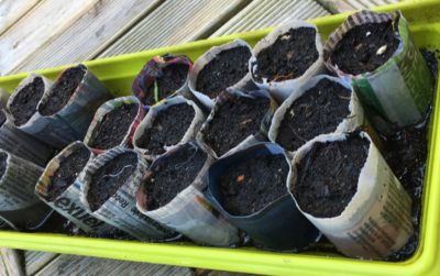 Fabrication de pots en papier pour le potager