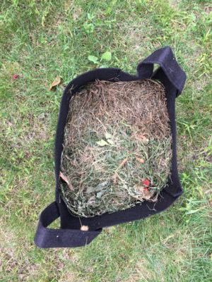 Tonte de gazon dans compost Tonte de gazon dans compost