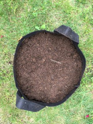 Compost en pot recouvert de terre