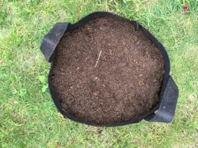 Compost en pot recouvert de terre