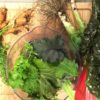 Top 5 des plantes du potager pour le potage