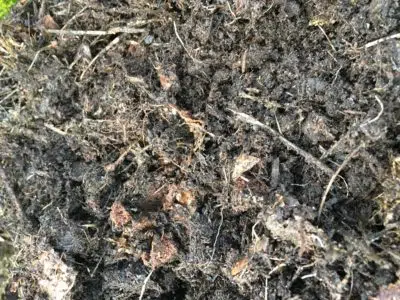 Le compost en pot avant le tamisage